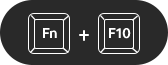 An image of Fn+F10 key buttons, indicating that a click on the button lets you move to the feature, including PC status checking functionality during gameplay (selected)